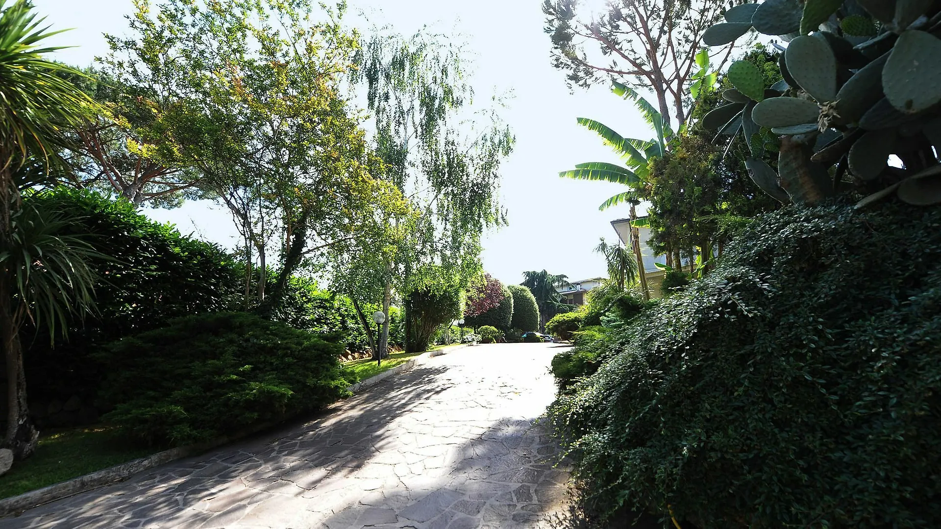 Casa Santarelli Apartment Rome Italy